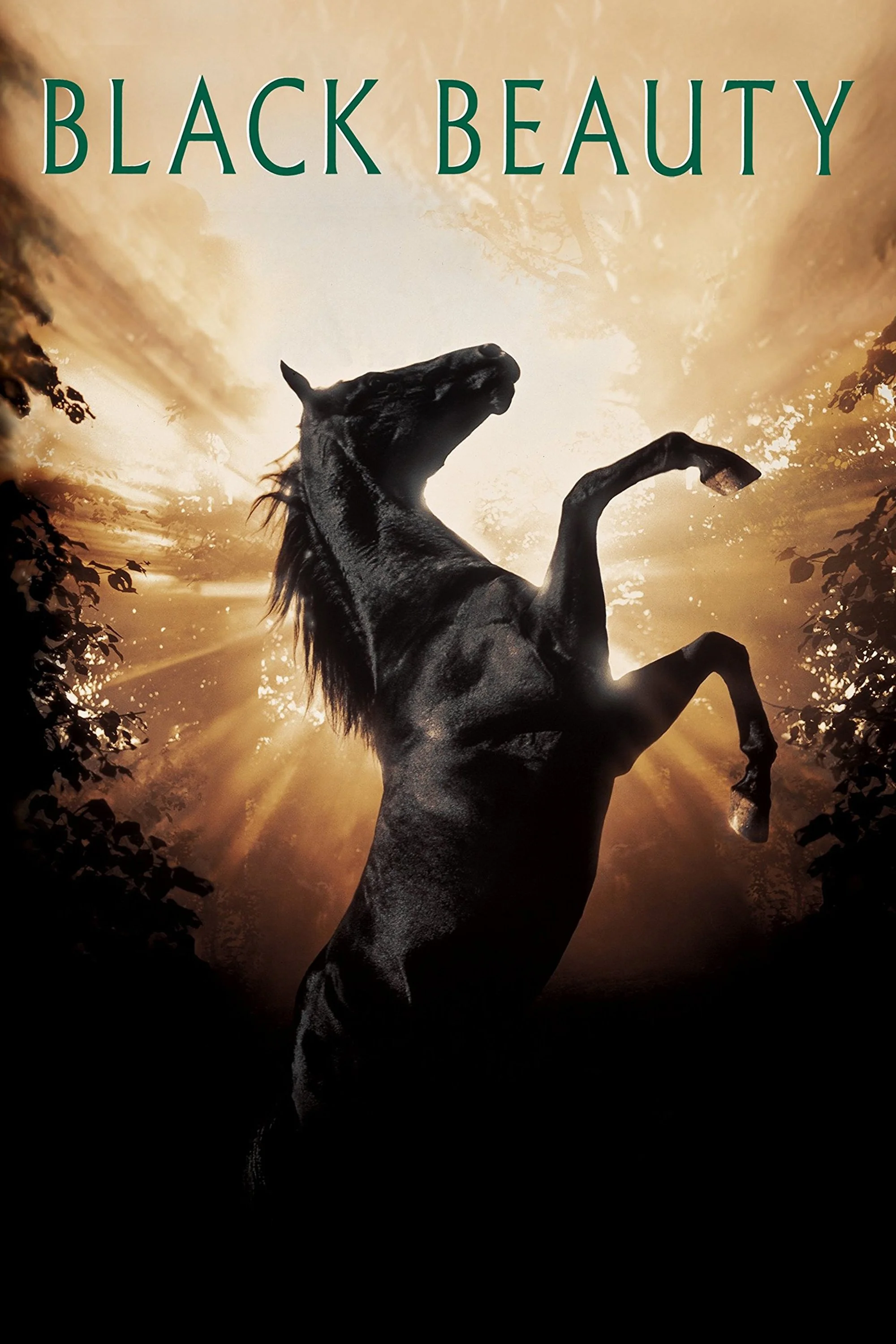 Belleza negra (Un caballo llamado Furia)