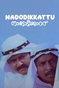 ندودی کاتتو