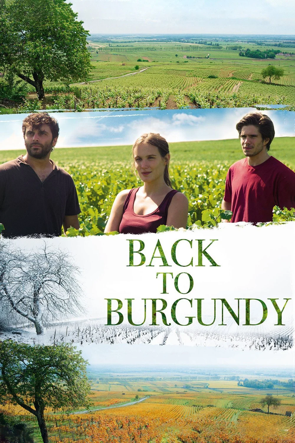 العودة إلى بوردو؟ لا، إلى بورغوني (Back to Burgundy)