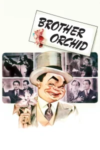 El hermano orquídea