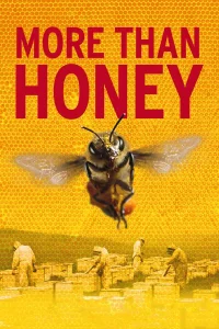 Des abeilles et des hommes