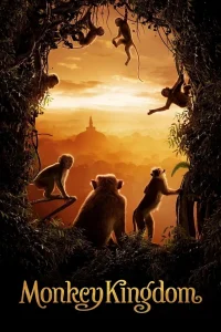 Au Royaume des Singes
