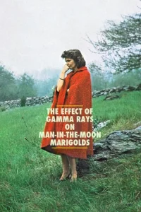 De l'influence des rayons gamma sur le comportement des marguerites