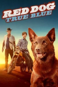 Blue, Mon Chien D'Australie