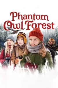 Noël dans la forêt de la chouette