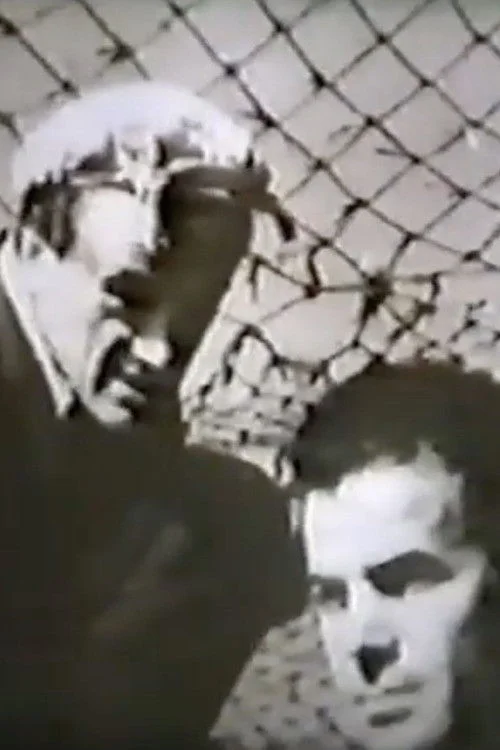 فرودگاه