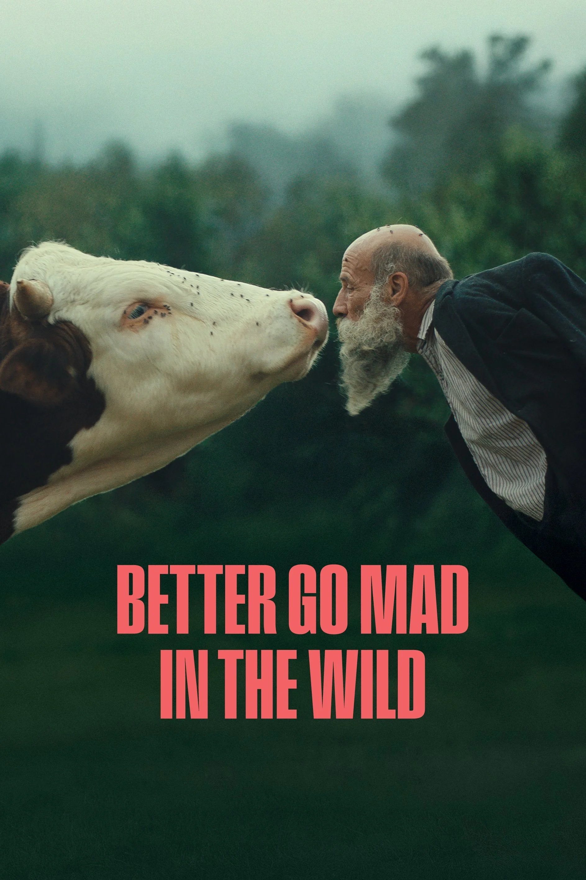 Better Go Mad in the Wild