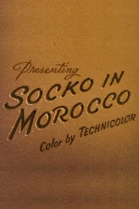 Socko in Morocco