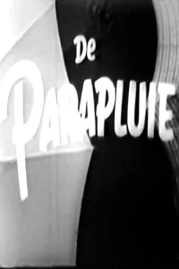 چتر