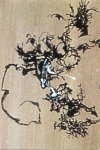 تبدیل