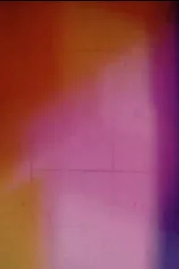 فِر شاد