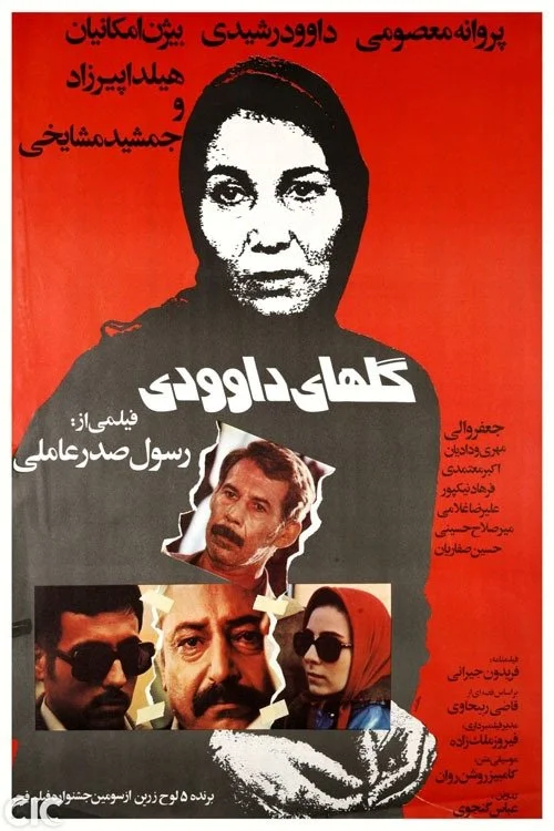 گل داوودی