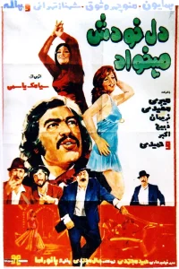 دل می‌خواهد خود را