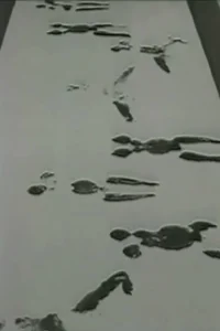 Anthropometries of the Blue Period and Fire Paintings