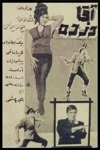آقای دزد