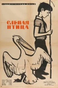 پرنده نابینا