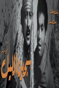 زندانی شب