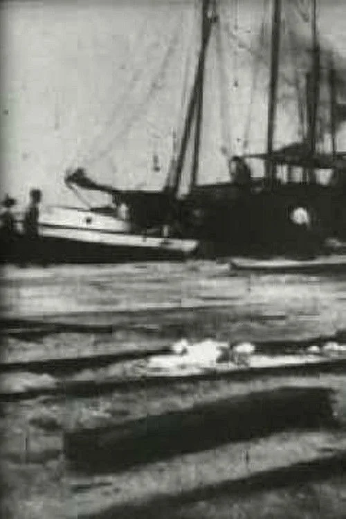 Bird's-Eye View of Dock Front, Galveston