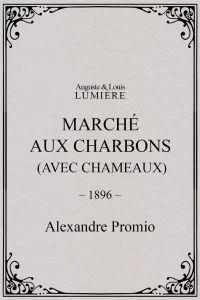 Marché aux charbons (avec chameaux)