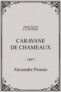 Caravane de chameaux