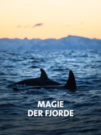 NORWAY´S MAGICAL FJORDS