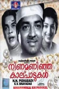 Ninamanija Kalpadukal
