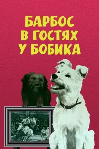 بازدید باربوس از بوبیک