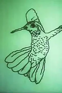 Hummingbird