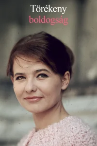 شادی شکننده