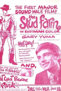 مزرعه اسب‌های نر