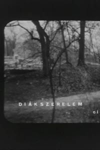 Diákszerelem