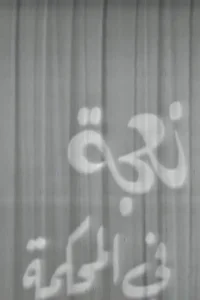 یک گوسفند در دادگاه