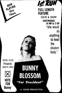 بلوسم خرگوش