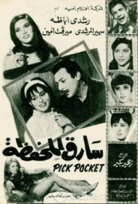 سارق المحفظه