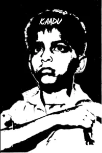 کادو