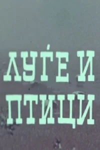 مردم و پرندگان