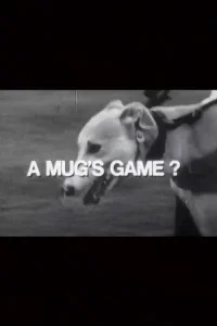 A Mug's Game?