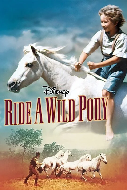 Le Poney Sauvage