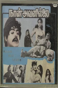 نان آوانیل