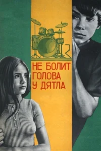 دارکوب‌ها سردرد نمی‌گیرند
