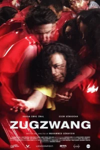 زگزونگ