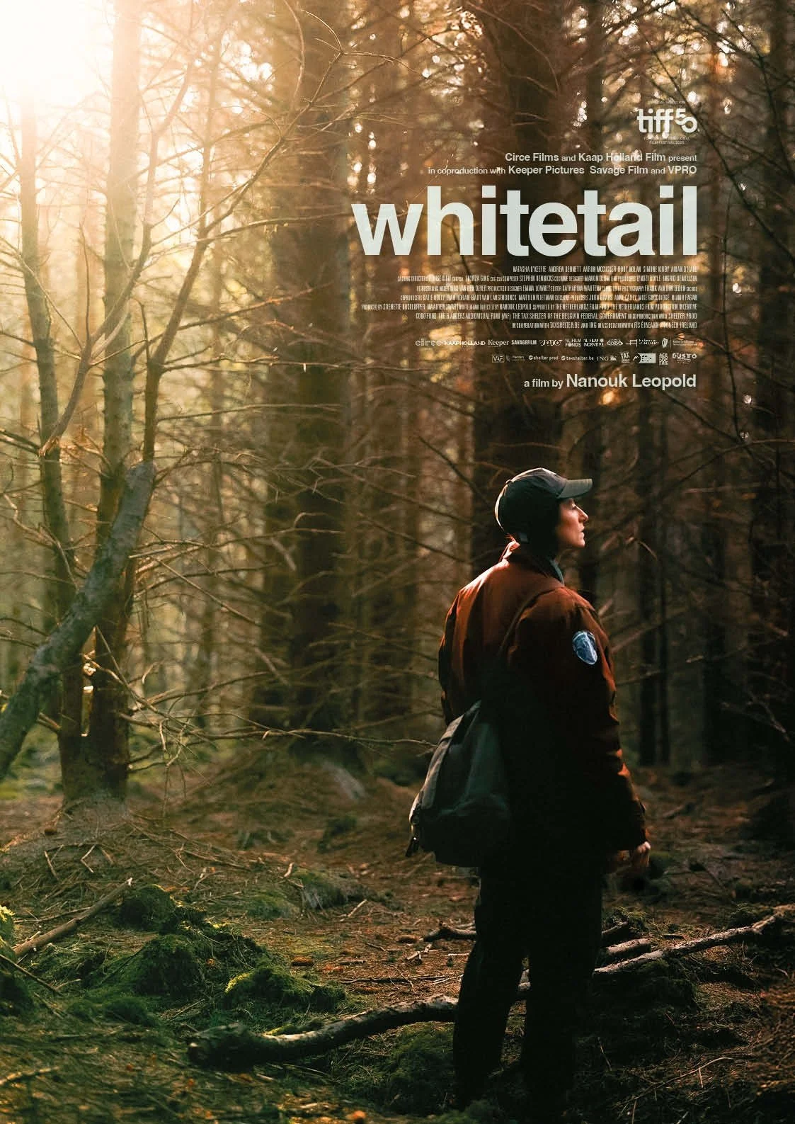 Whitetail