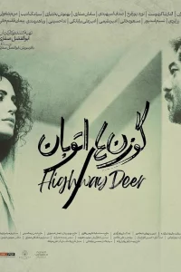گوزن بزرگراه