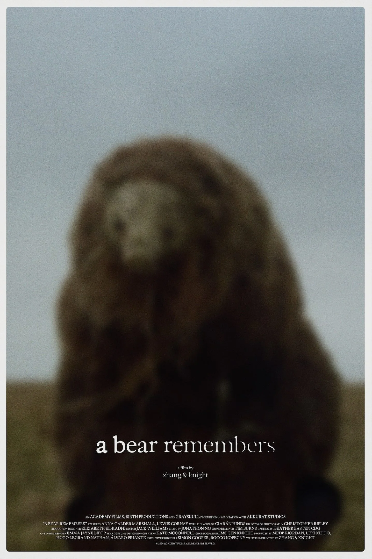 Un oso recuerda