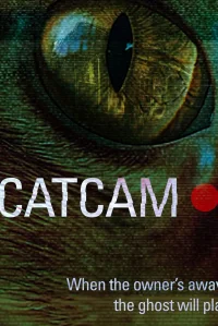 Cat Cam