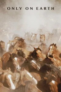 فقط در زمین
