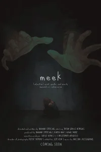 میک