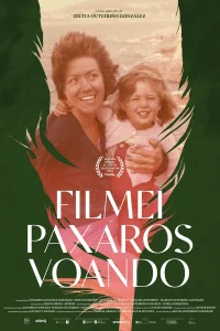 Filmei paxaros voando