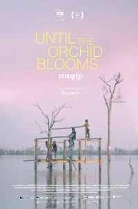 Until the Orchid Blooms