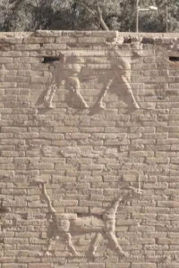 جی-ان-ان